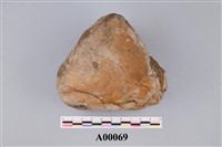 藏品(木化石)的圖片